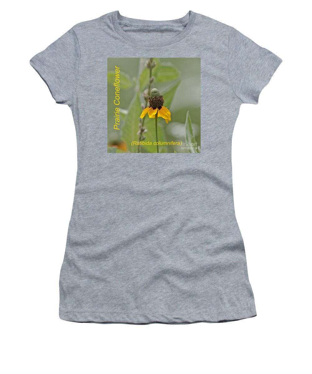 Floral Women's T-Shirt featuring the photograph Prairie Coneflower by Robert Frederick