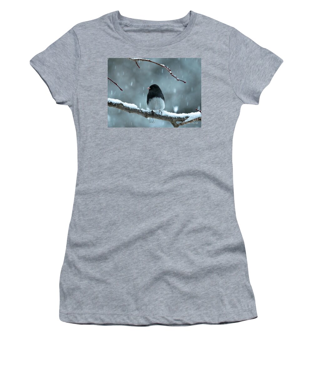 Landscapes Women's T-Shirt featuring the photograph Pretty Junco by Cheryl Baxter