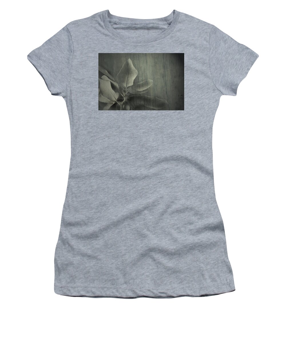 Summer Women's T-Shirt featuring the photograph Preview by Mark Ross