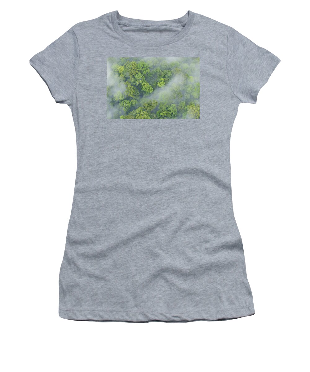 Feb0514 Women's T-Shirt featuring the photograph Primary Rainforest Sabah Borneo by Ch'ien Lee
