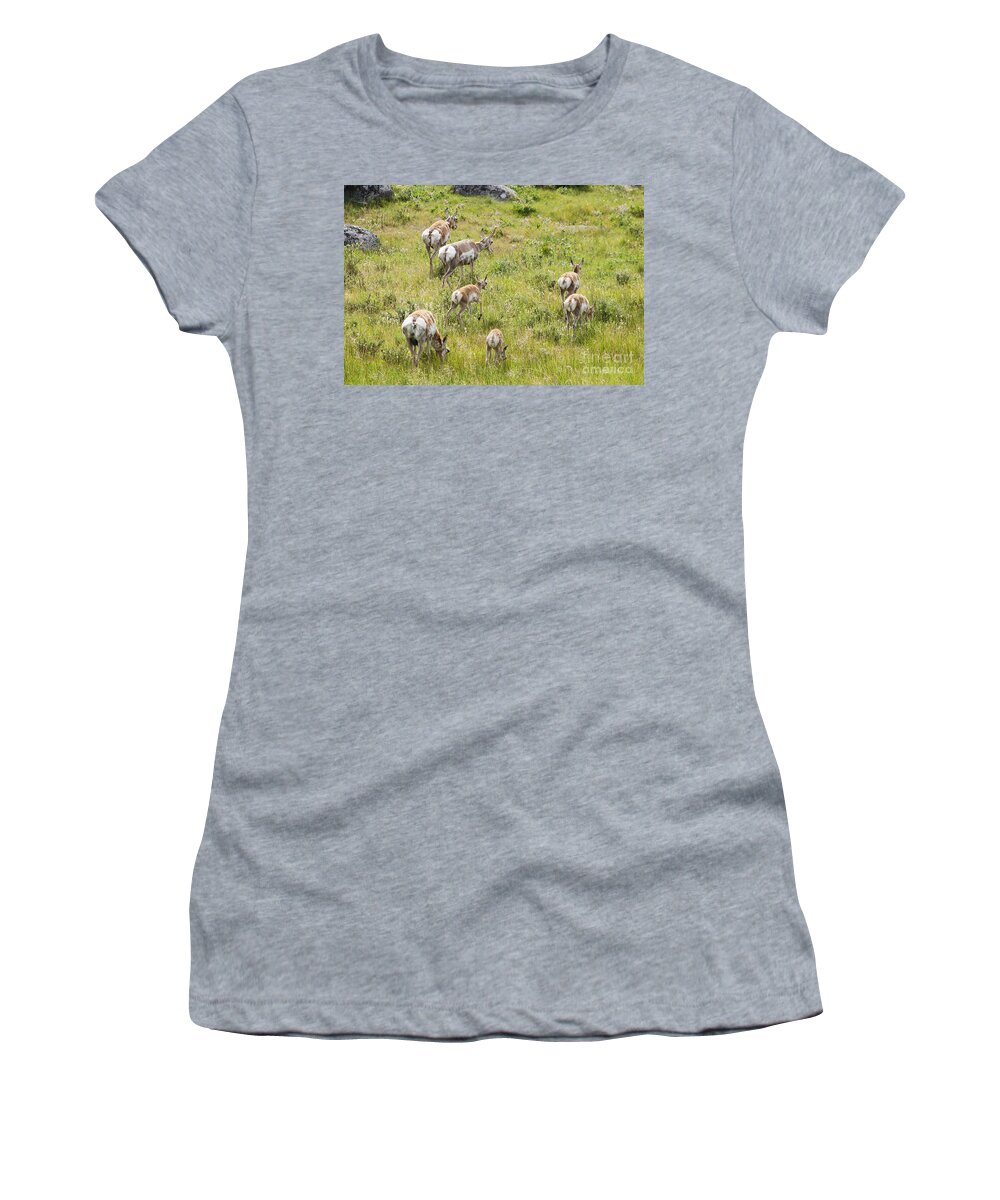 Pronghorn Antelope Women's T-Shirt featuring the photograph Pronghorn Antelope in Lamar Valley by Belinda Greb