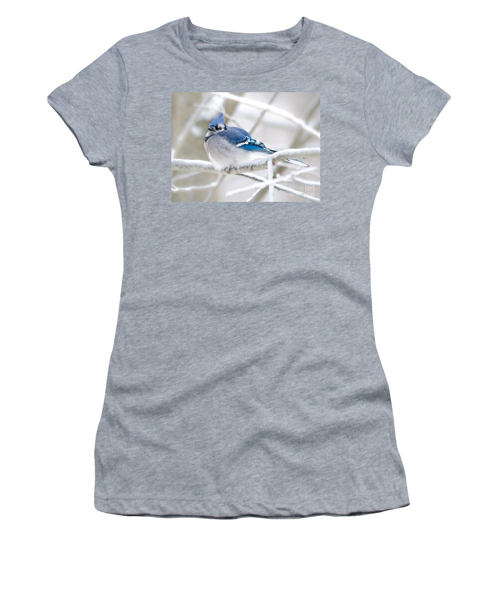Bokeh Women's T-Shirt featuring the photograph Puffy Blue by Cheryl Baxter