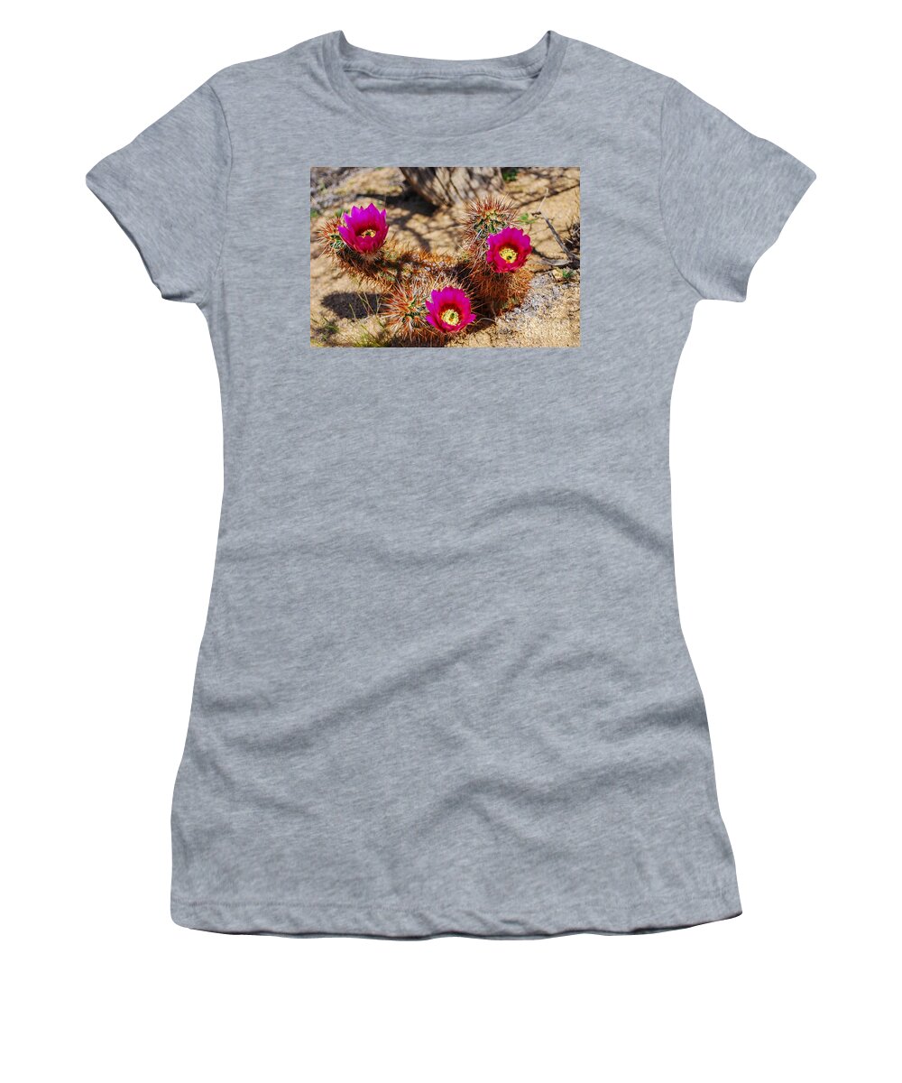 Blue Skies Women's T-Shirt featuring the photograph PuRPLE by Angela J Wright