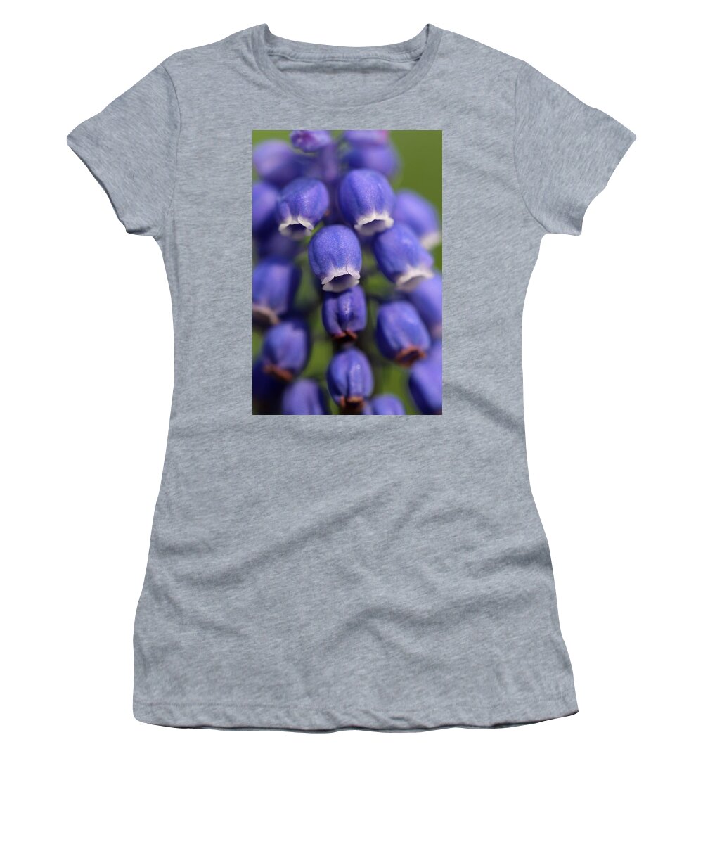 Muscari Women's T-Shirt featuring the photograph Purple Bells by Juergen Roth