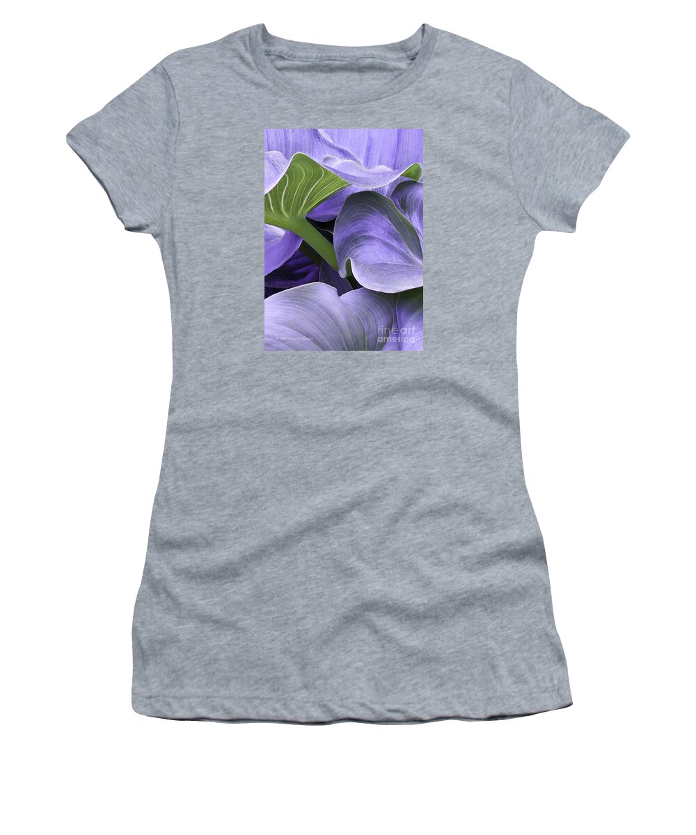 Calla Lily Women's T-Shirt featuring the photograph Purple Calla Lily Bush by Richard J Thompson