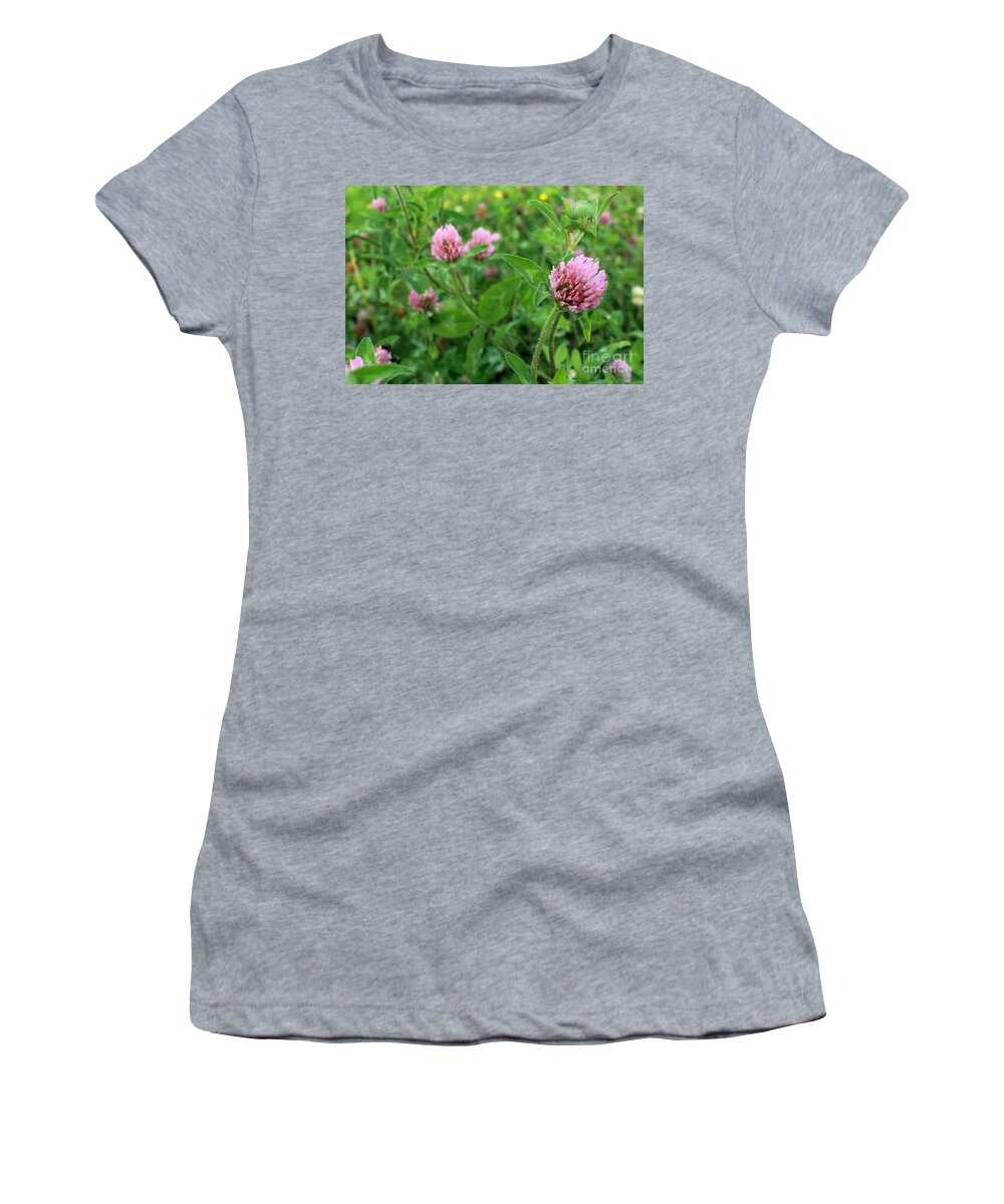 Trifolium Women's T-Shirt featuring the photograph Purple Clover Wild Flower in Midwest United States meadow by Adam Long