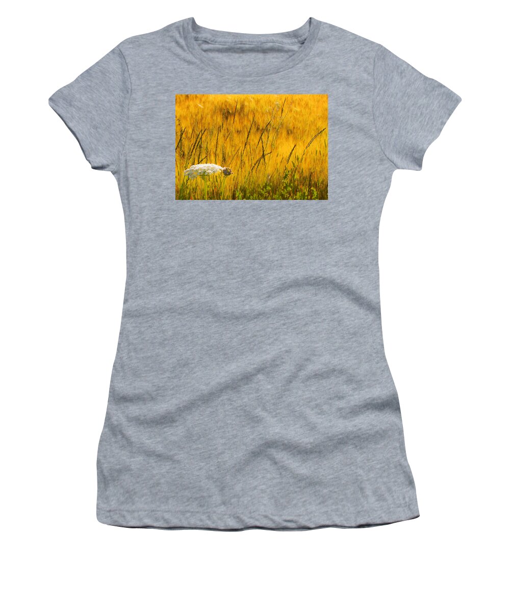 Field Women's T-Shirt featuring the photograph Queen Anne's Lace by Theresa Tahara