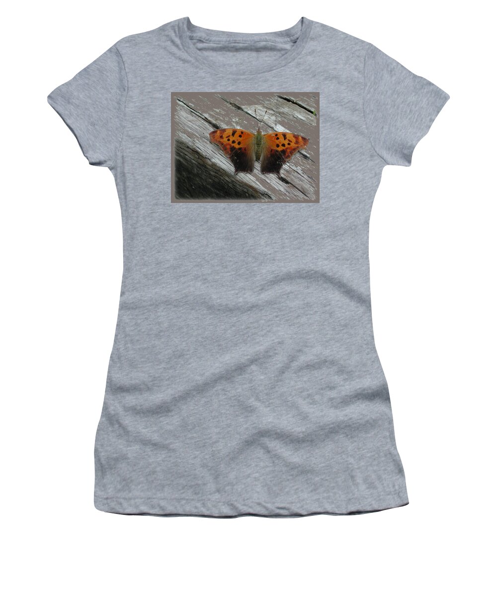 Bug Women's T-Shirt featuring the photograph Question Mark Butterfly by Mike Kling