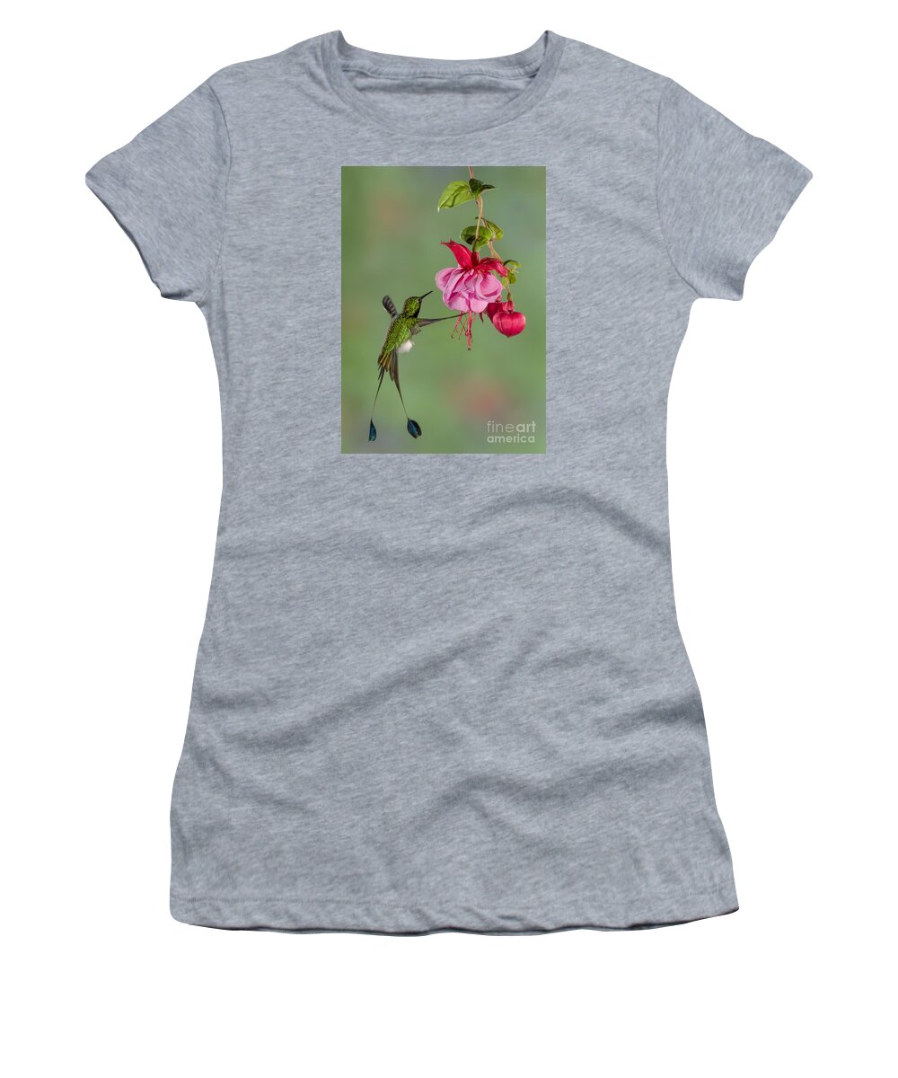 Andies Women's T-Shirt featuring the photograph Rackettail Hummingbird Approach by Jerry Fornarotto