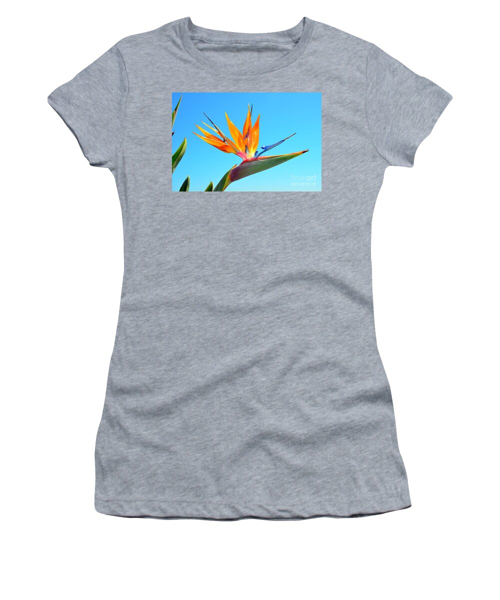 Bird Of Paradise Women's T-Shirt featuring the photograph Radiant Bird in the Sky by Debra Thompson