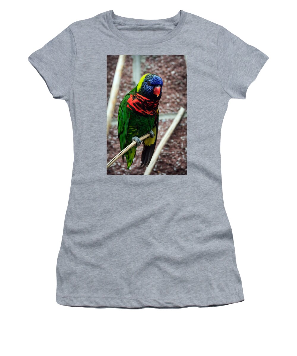 Rainbow Lory Women's T-Shirt featuring the photograph Rainbow Lory Too by Sennie Pierson