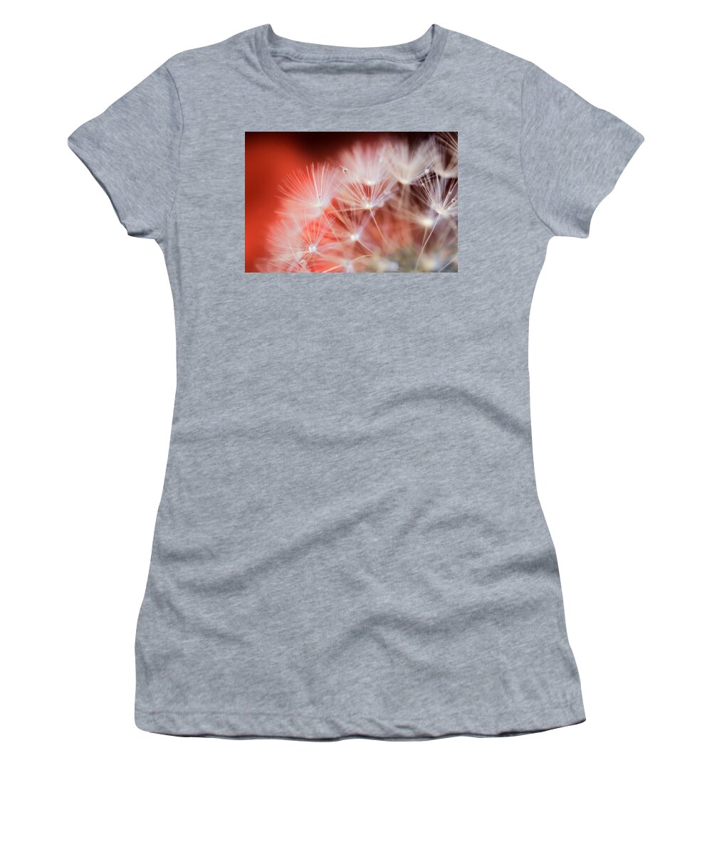 Raindrops Women's T-Shirt featuring the photograph Raindrops on Dandelion Red by Marianna Mills