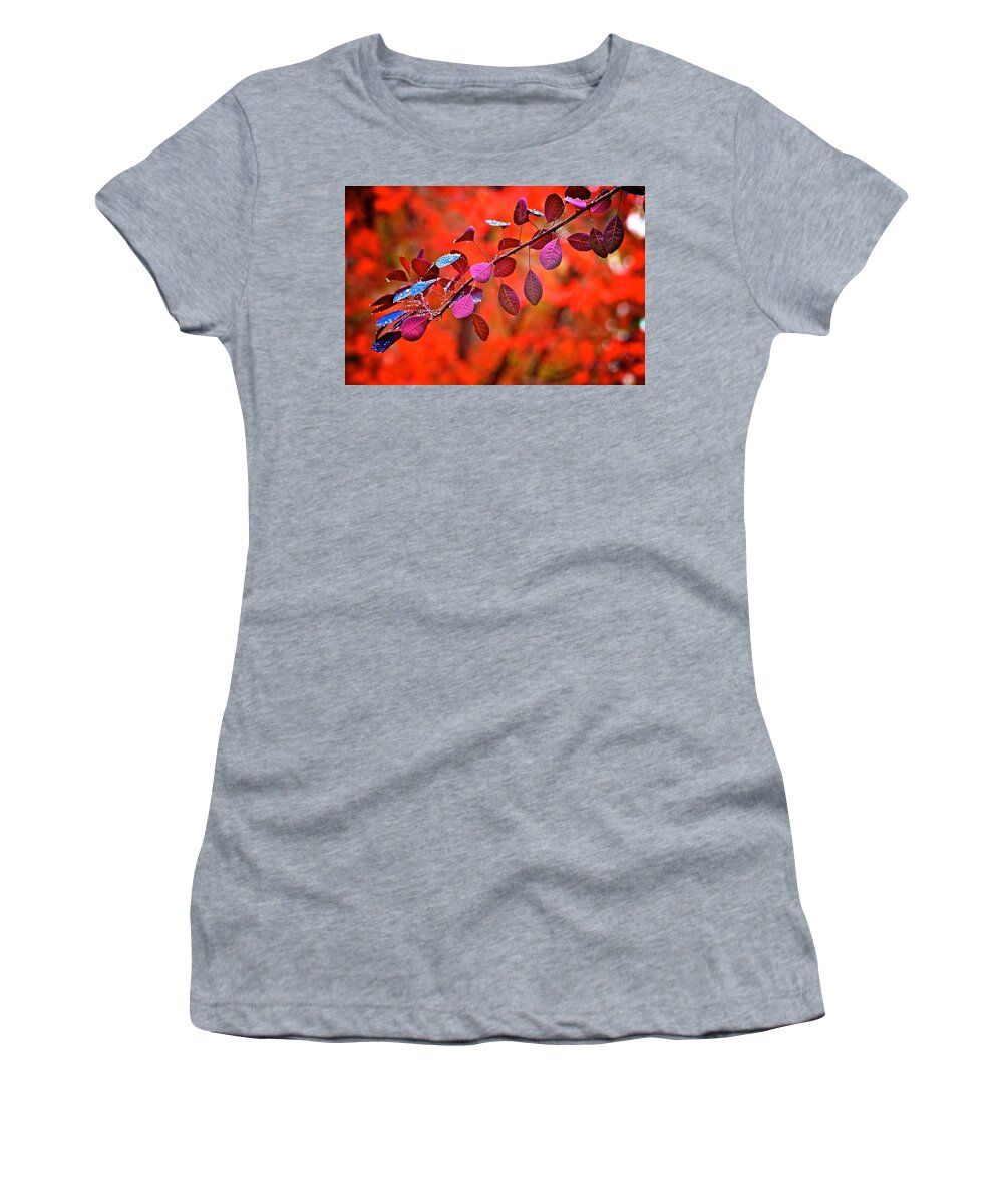 Smoke Bush Women's T-Shirt featuring the photograph Red colors in fall by Lynn Hopwood