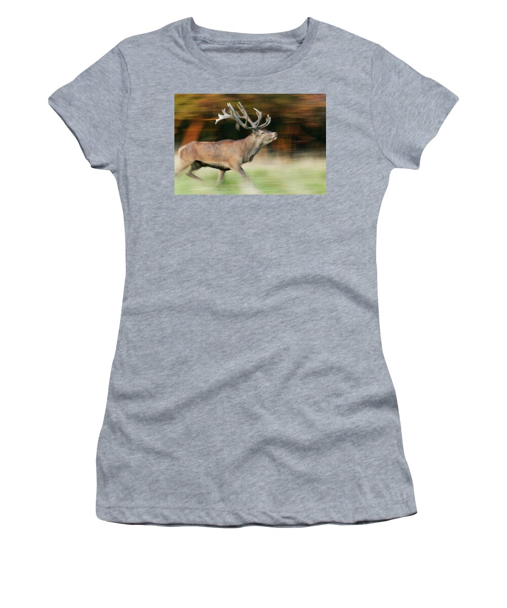 00620945 Women's T-Shirt featuring the photograph Red Deer Cervus Elaphus Stag Running by Cyril Ruoso