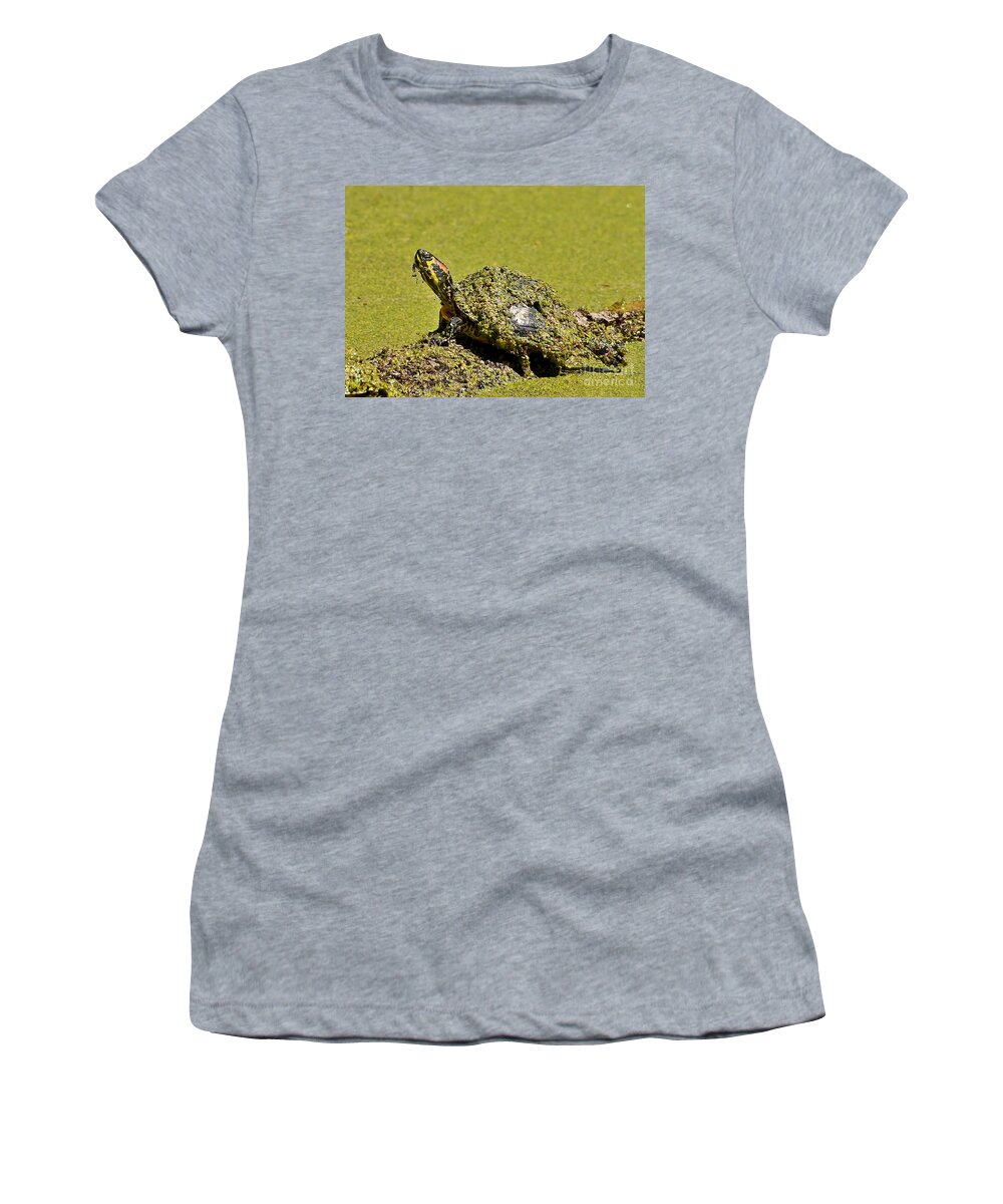 Turtle Women's T-Shirt featuring the photograph Red Eared Slider Turtle by Kathy Baccari