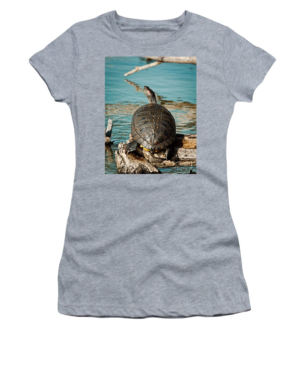 Turtle Women's T-Shirt featuring the photograph Red Eared Slider XXL by Robert Frederick