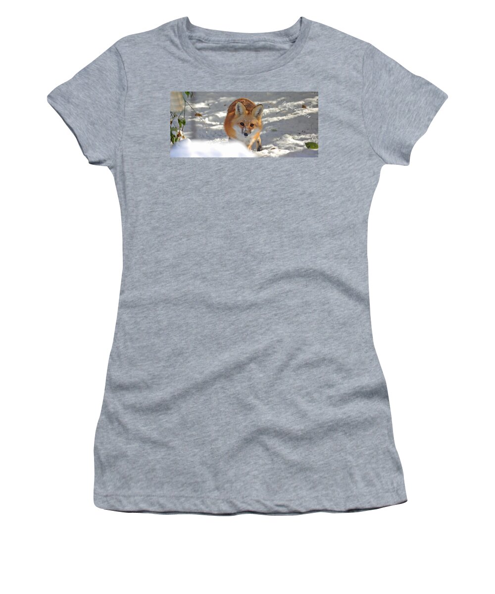 Red Fox In Snow Women's T-Shirt featuring the photograph Red Fox in Snow by PJQandFriends Photography