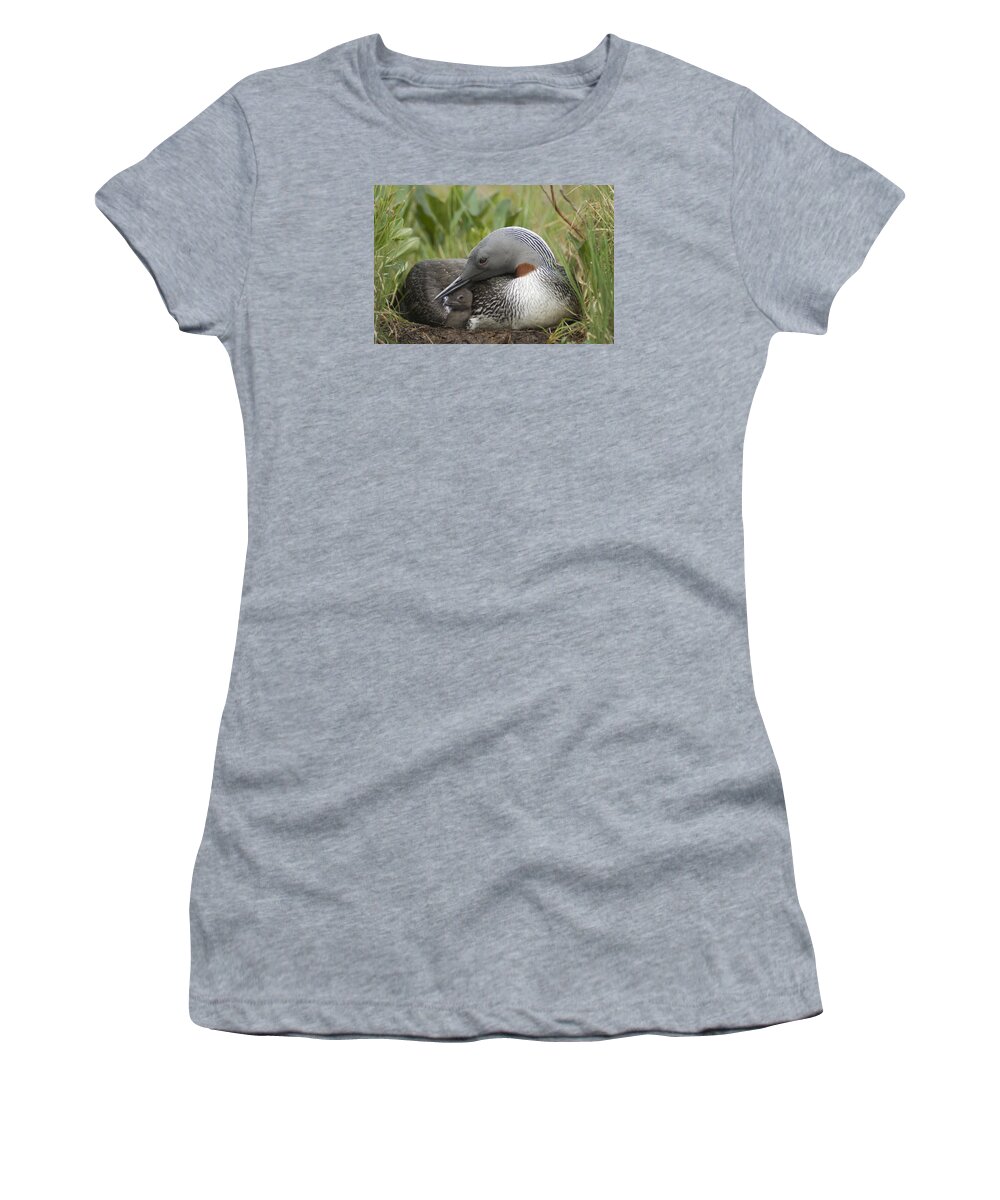 Feb0514 Women's T-Shirt featuring the photograph Red-throated Loon With Day Old Chick by Michael Quinton