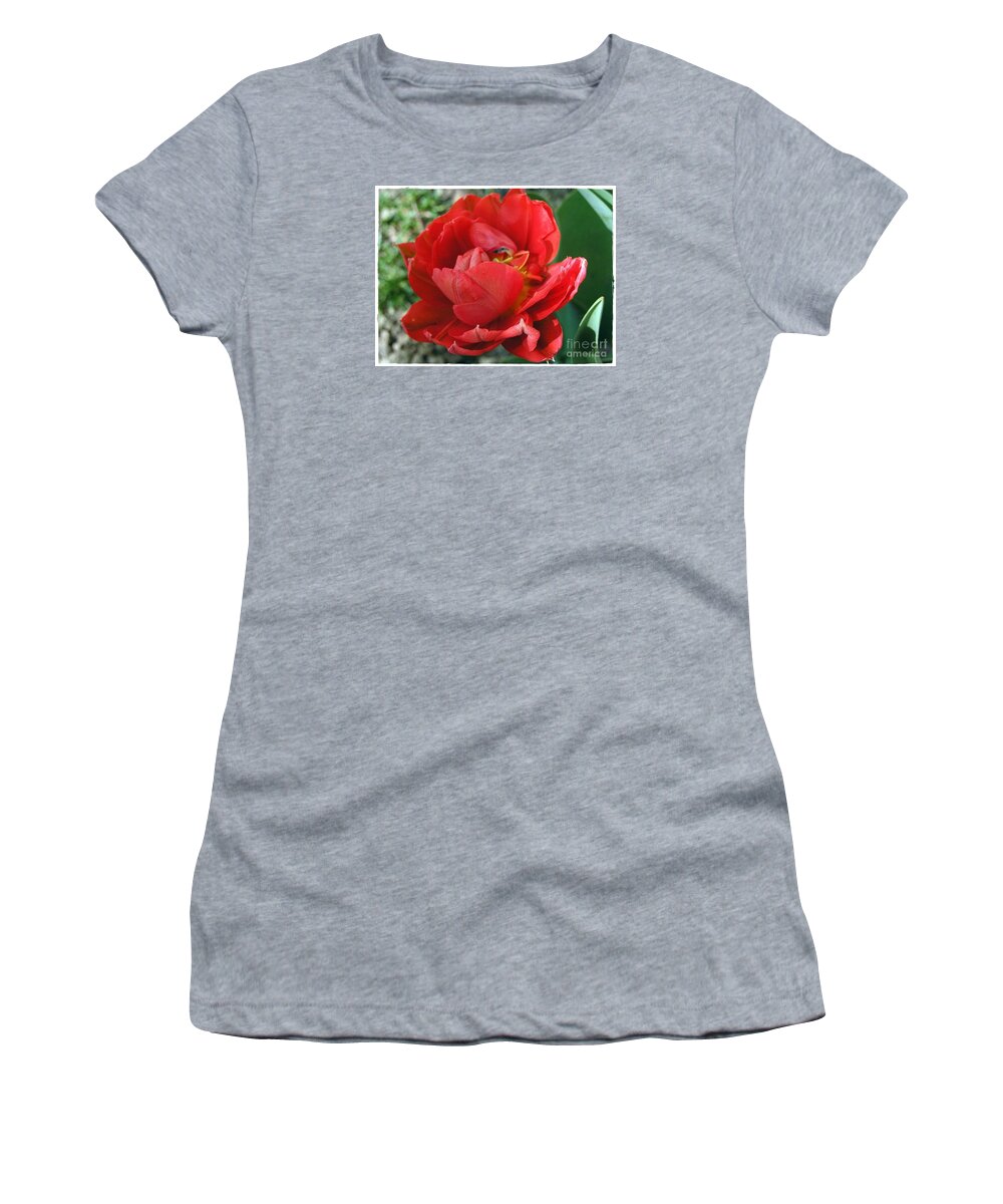 Red Tulip Women's T-Shirt featuring the photograph Red Tulip by Vesna Martinjak