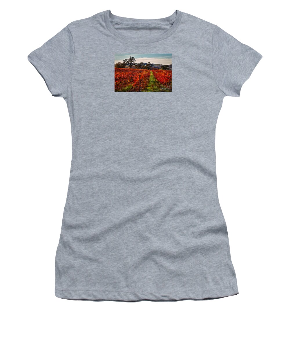 Grapes Women's T-Shirt featuring the photograph Red Vines by Alice Cahill