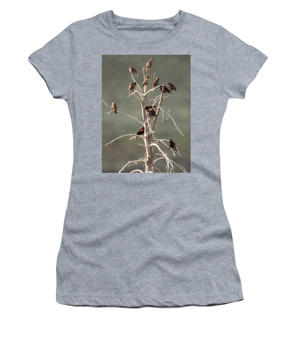 Bird Women's T-Shirt featuring the photograph Red Wing Gathering by Kevin Dietrich