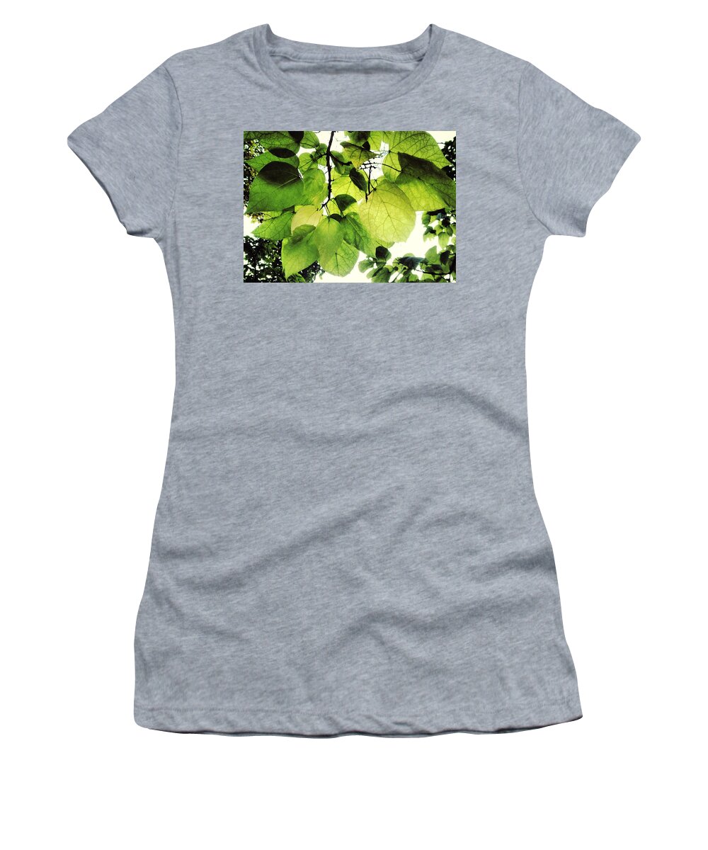 Leaf Women's T-Shirt featuring the photograph Catalpa Branch by Angela Rath