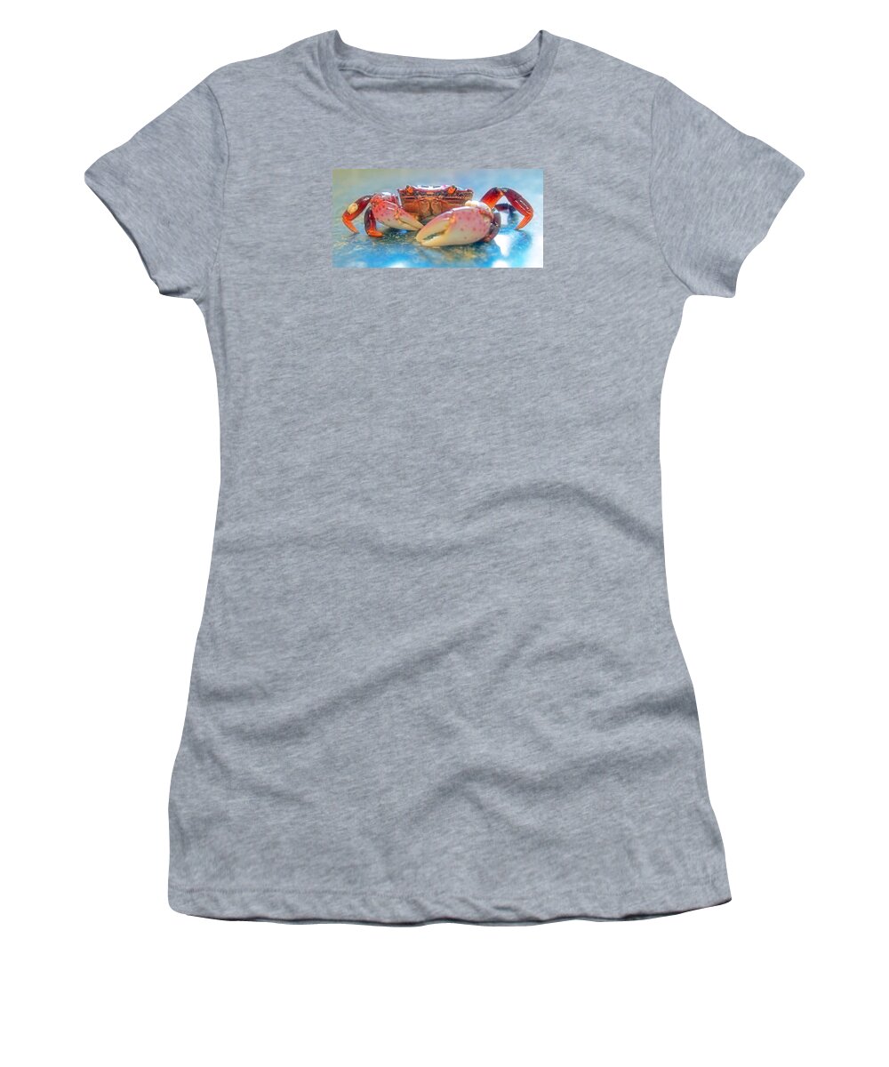 Crab Women's T-Shirt featuring the photograph Redrock by Adria Trail