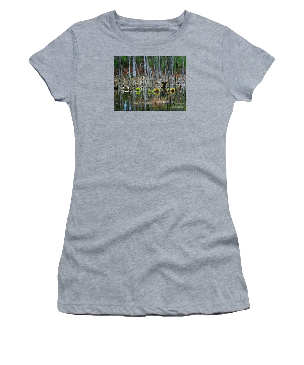 Forest Women's T-Shirt featuring the photograph Regrowth by Marcia Lee Jones