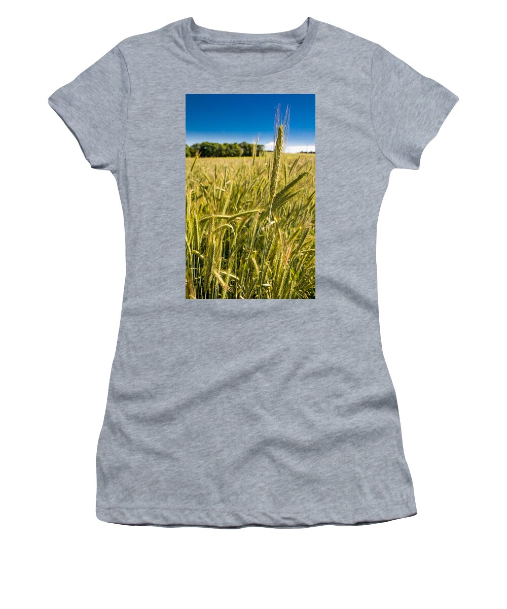 Corn Women's T-Shirt featuring the photograph Ripe Corn by Andreas Berthold