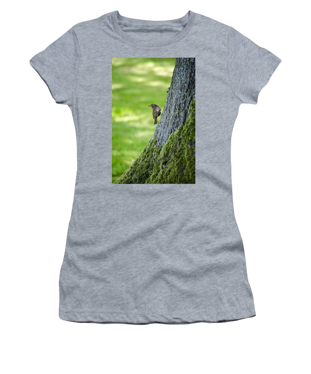 Garden Women's T-Shirt featuring the photograph Robin At Rest by Spikey Mouse Photography