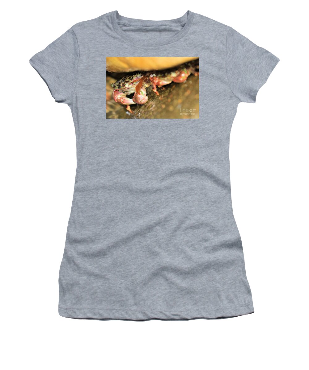 Rabs Women's T-Shirt featuring the photograph Rocky Home by Adam Jewell