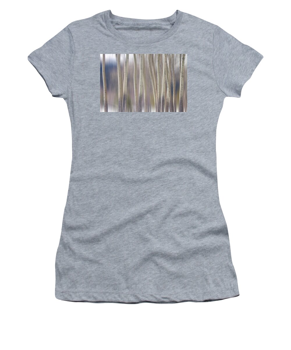 Surreal Women's T-Shirt featuring the photograph Rocky Mountain Winter Aspen Tree Forest Dream by James BO Insogna