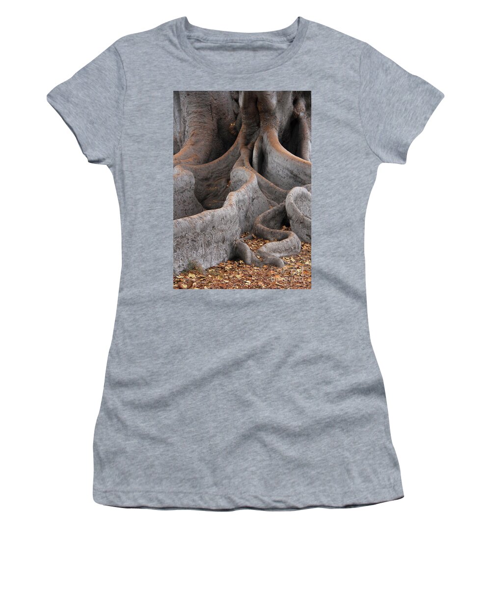 Moreton Bay Fig Tree Women's T-Shirt featuring the photograph Roots of the Fig by Suzanne Oesterling