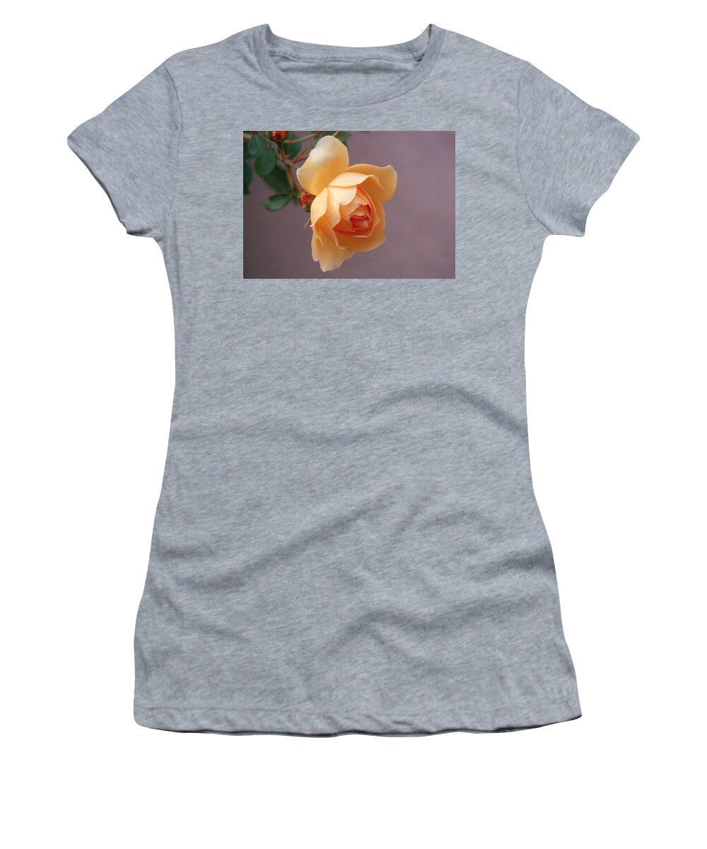 Flower Women's T-Shirt featuring the photograph Rose 4 by Andy Shomock