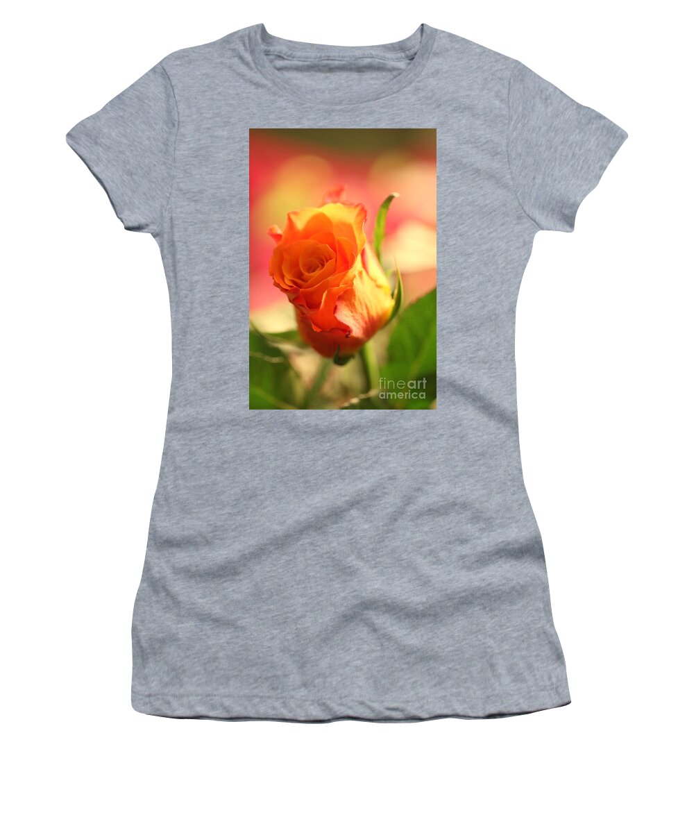 Background Women's T-Shirt featuring the photograph Rose on pink background II by Amanda Mohler
