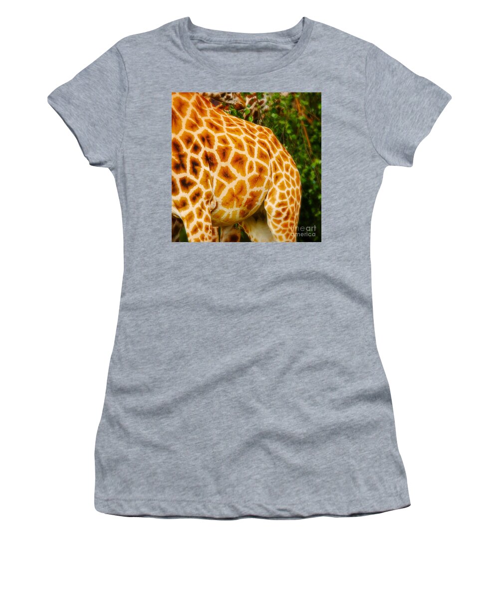 Africa Women's T-Shirt featuring the photograph Rothschild Giraffe by Nick Biemans