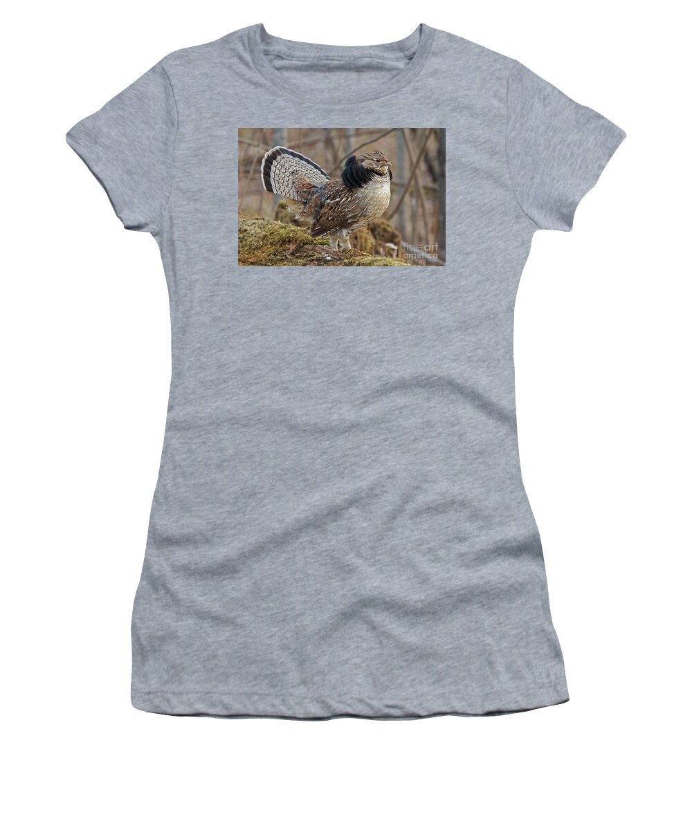 Ruff Grouse Women's T-Shirt featuring the photograph Ruffed Grouse Courtship Display by Linda Freshwaters Arndt