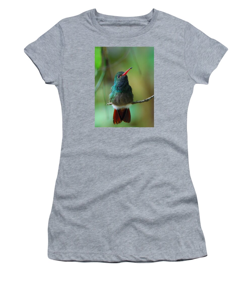 Nature Photograph Women's T-Shirt featuring the photograph Rufous-tailed Hummingbird by Cascade Colors