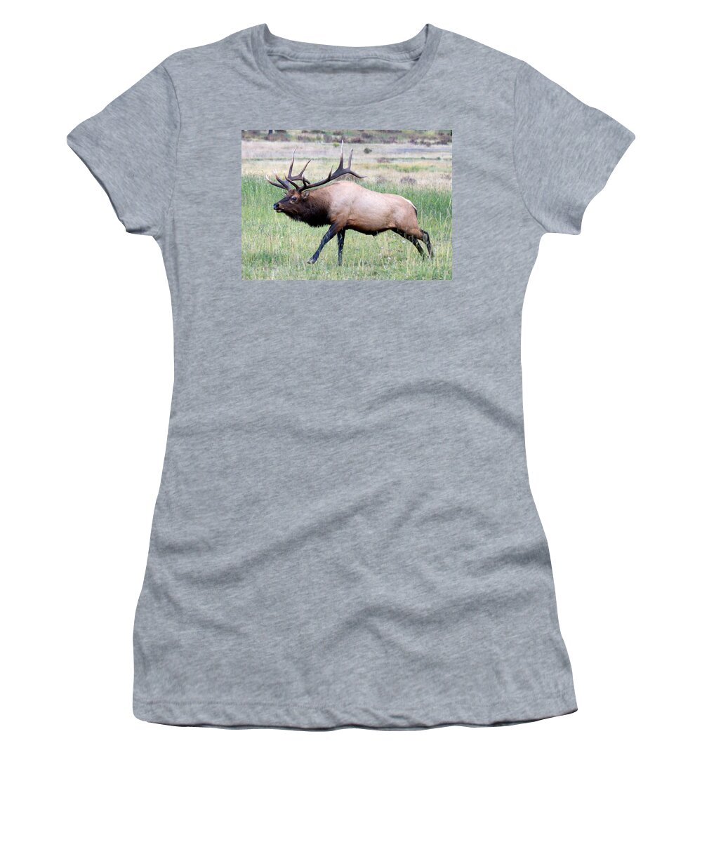 Horizontal Women's T-Shirt featuring the photograph Running Bull Elk by OLena Art by Lena Owens - Vibrant DESIGN