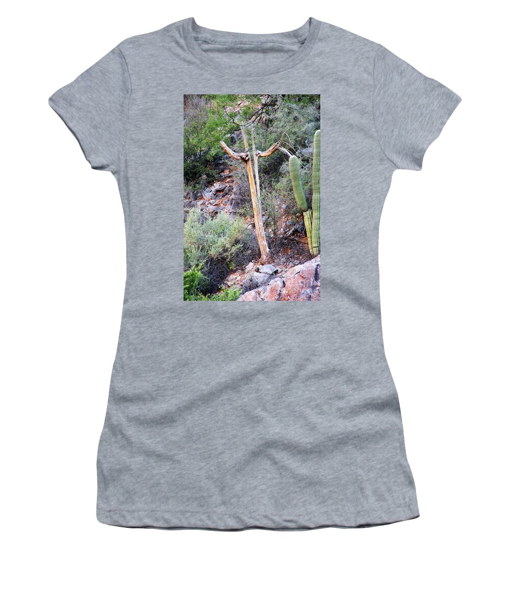 Tucson Women's T-Shirt featuring the photograph Saguaro Skeleton by Jemmy Archer