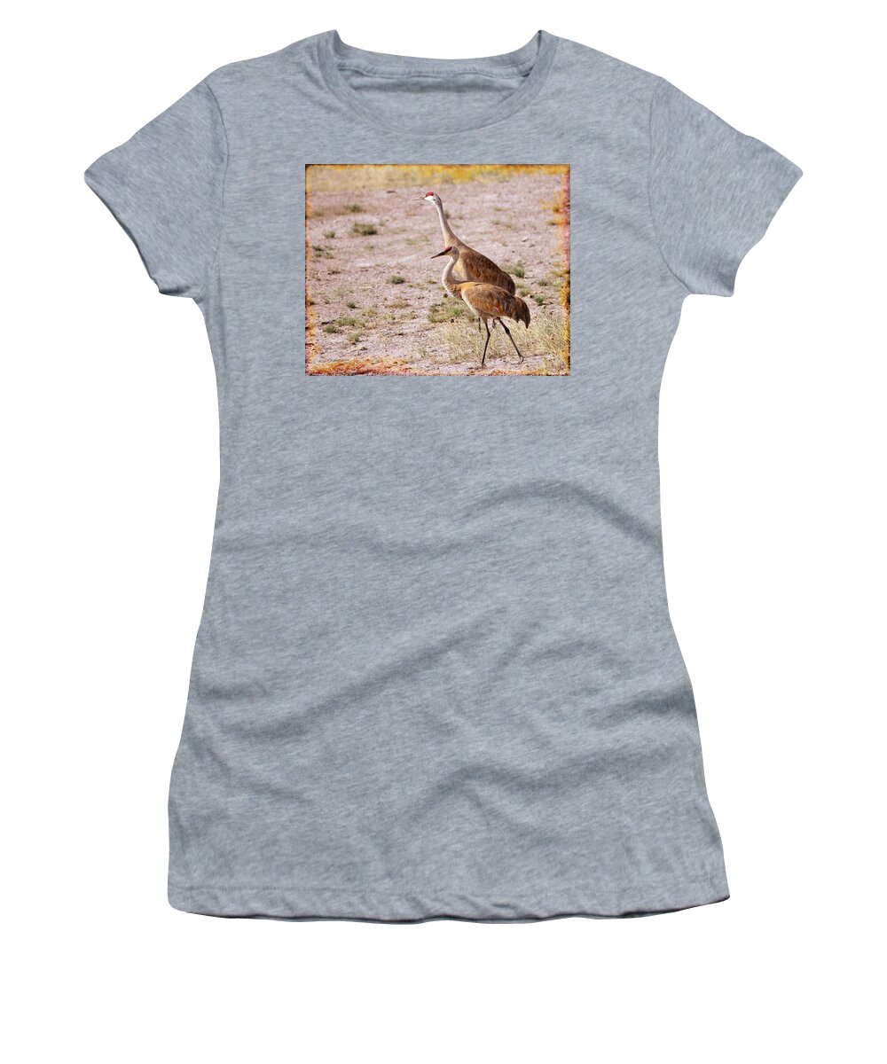 Sandhill Cranes Women's T-Shirt featuring the photograph Sandhill Cranes by Kae Cheatham