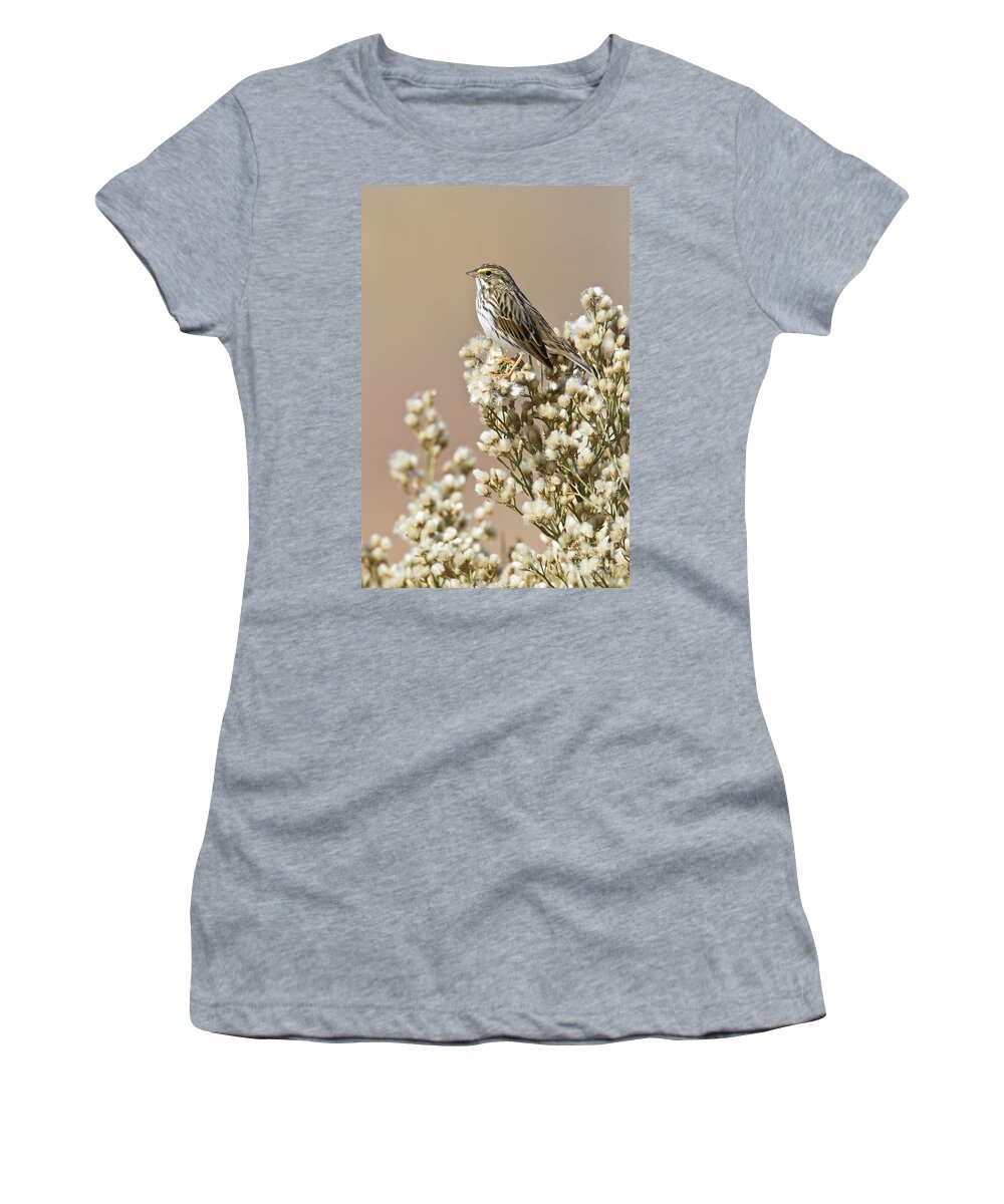 Sparrow Women's T-Shirt featuring the photograph Savannah Sparrow by Bryan Keil