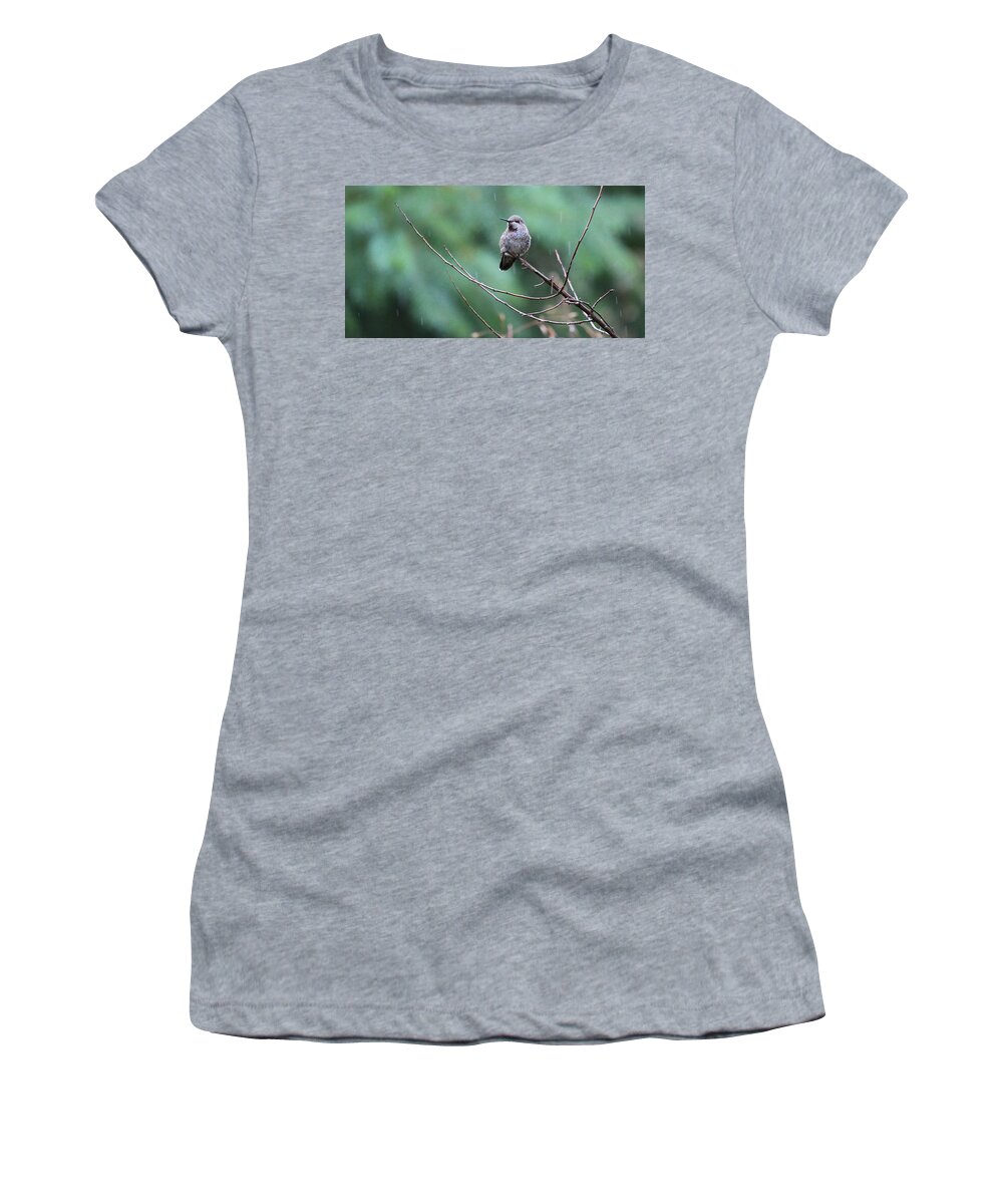 Birds Women's T-Shirt featuring the photograph Savoring Rain by Rory Siegel