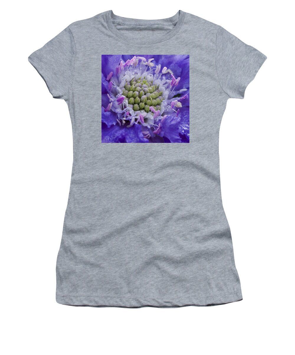 Scabiosa Print Women's T-Shirt featuring the photograph Scabiosa by Diane Fifield