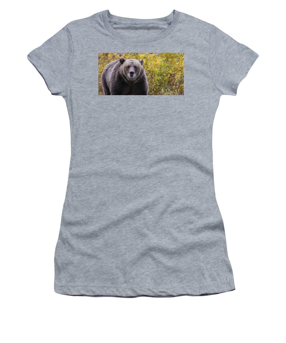 Bear Women's T-Shirt featuring the photograph Scar by Kevin Dietrich