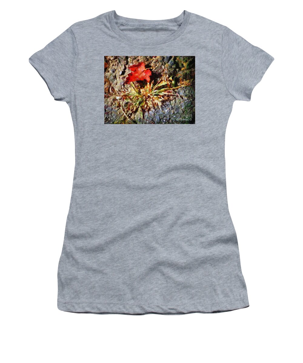 Autumn Women's T-Shirt featuring the painting Scarlet on Stone by RC DeWinter