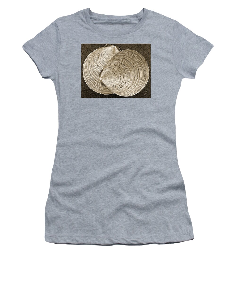 Seashell Women's T-Shirt featuring the photograph Seashells Spectacular No 11 by Ben and Raisa Gertsberg