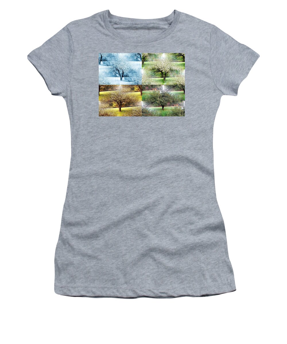 Winter Women's T-Shirt featuring the photograph Seasonal Orchard Collage by Shana Rowe Jackson
