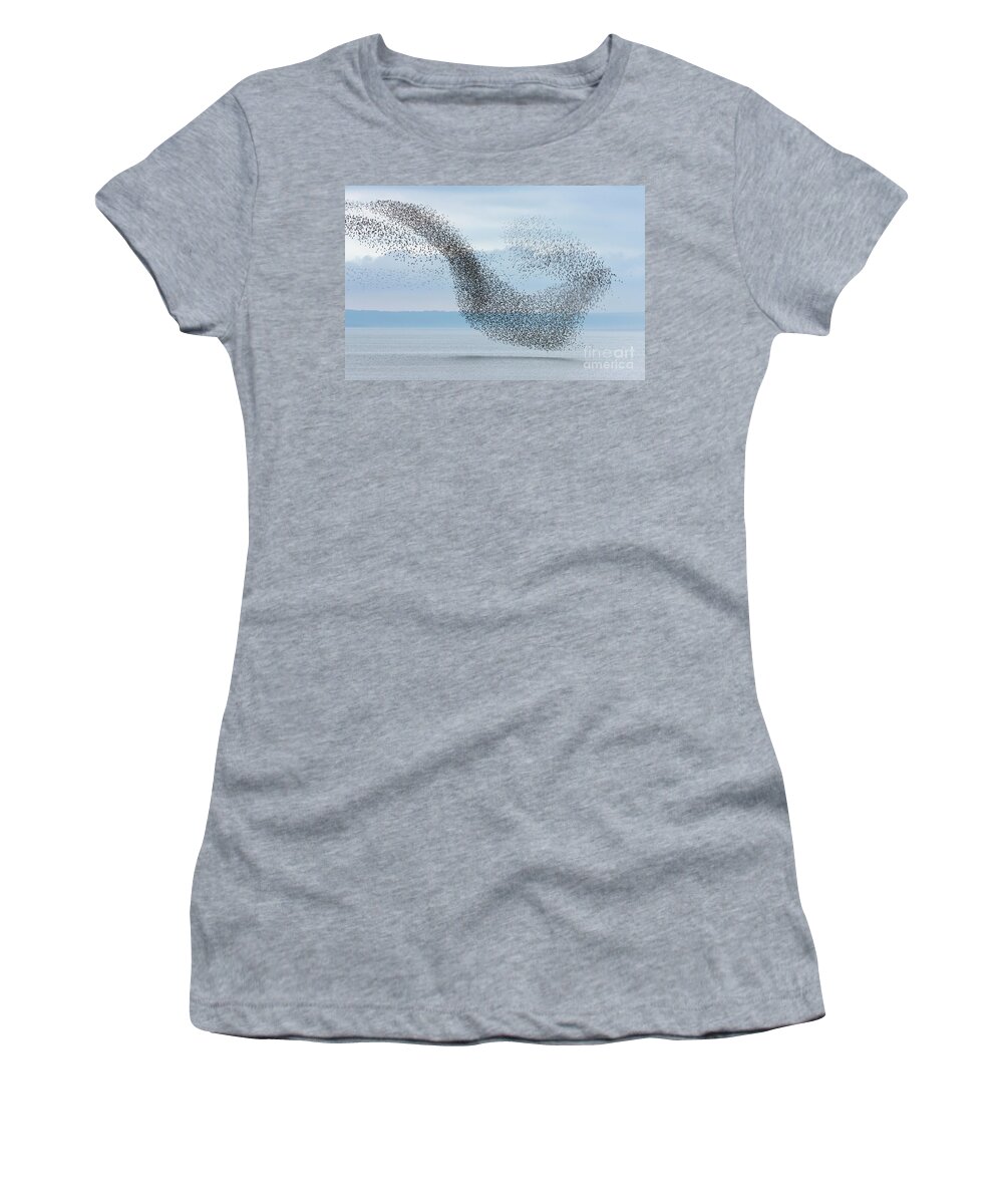 00536667 Women's T-Shirt featuring the photograph Semipalmated Sandpipers Flying Over Bay by Yva Momatiuk and John Eastcott