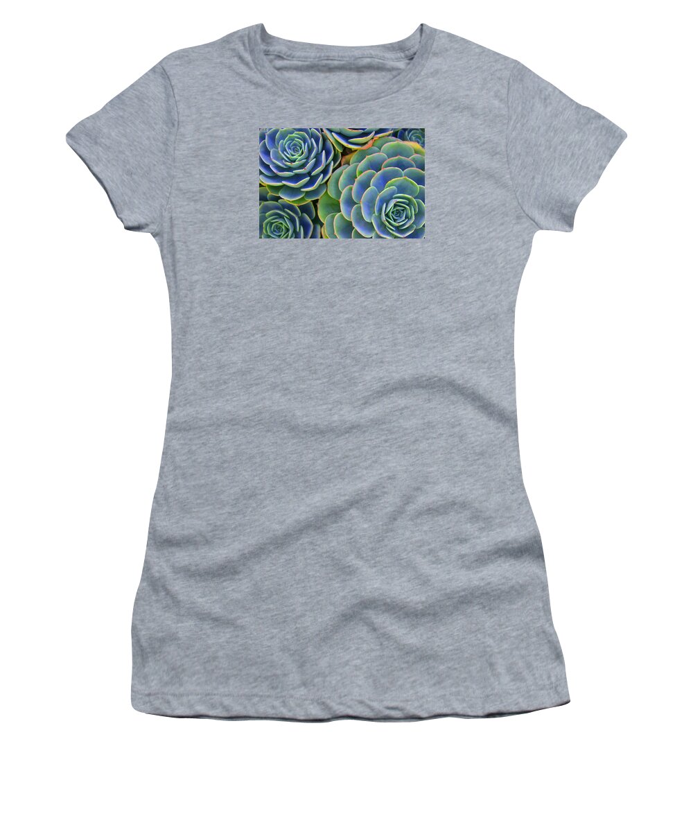 Succulent Women's T-Shirt featuring the photograph Sempervivum by Andre Aleksis